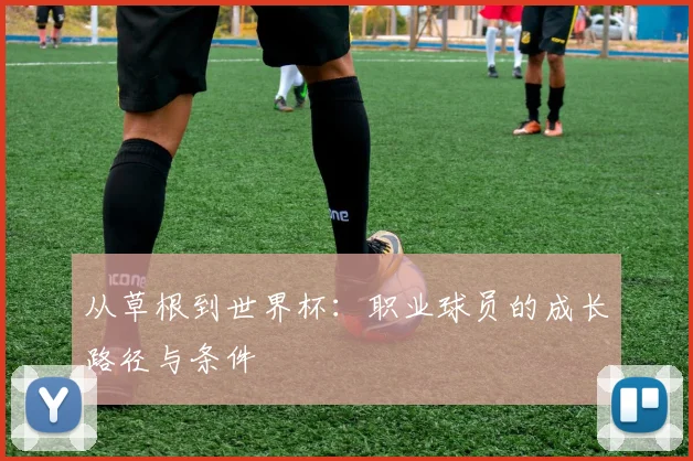 从草根到世界杯：职业球员的成长路径与条件
