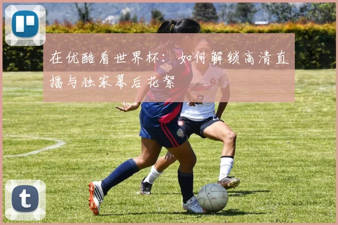 在优酷看世界杯：如何解锁高清直播与独家幕后花絮