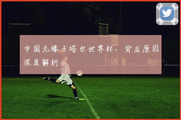 中国无缘卡塔尔世界杯，背后原因深度解析